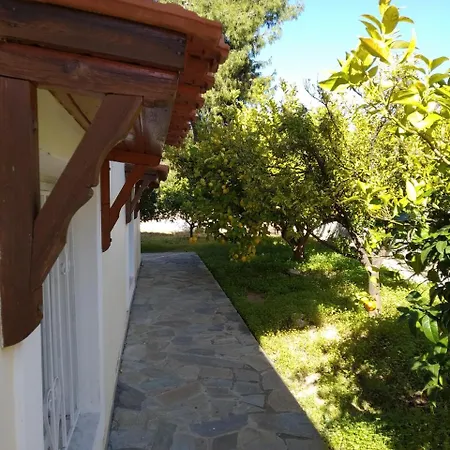 Forest קאטו אלמירי